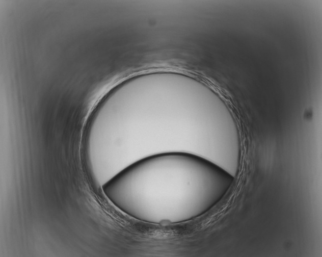 X0000116280248200911301047