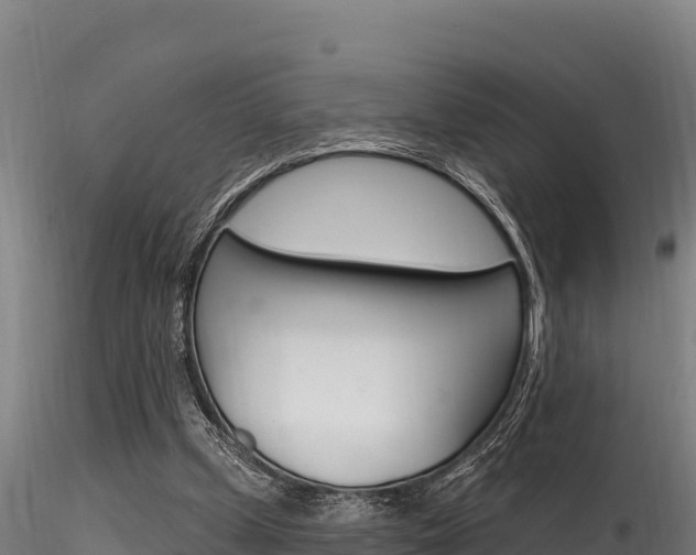 X0000116280249200911301047