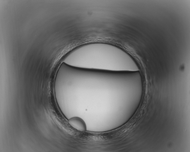 X0000116280250200911301047