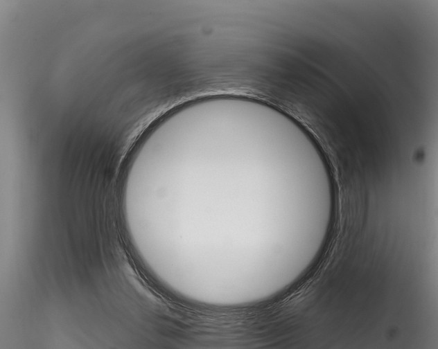 X0000116280252200911301047