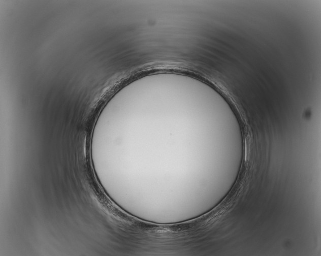 X0000116280253200911301047