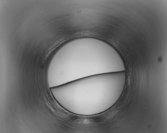 X0000116280254200911301047