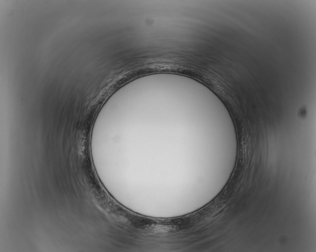 X0000116280255200911301047