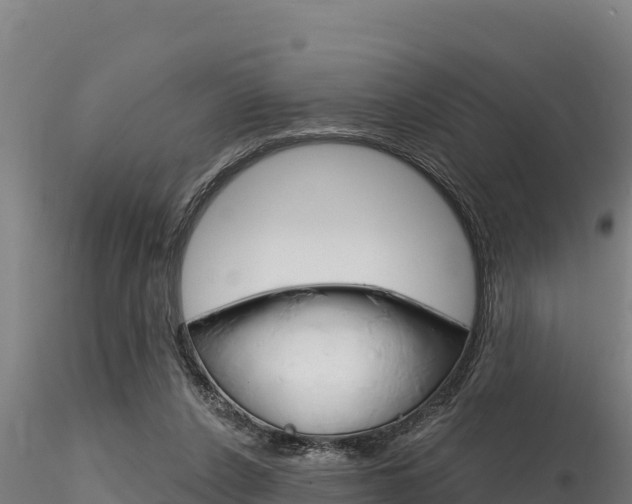 X0000116280256200911301047