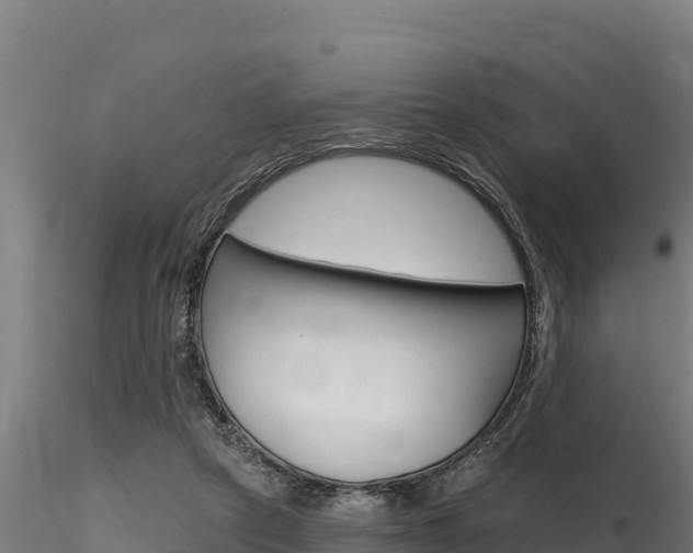 X0000116280257200911301047