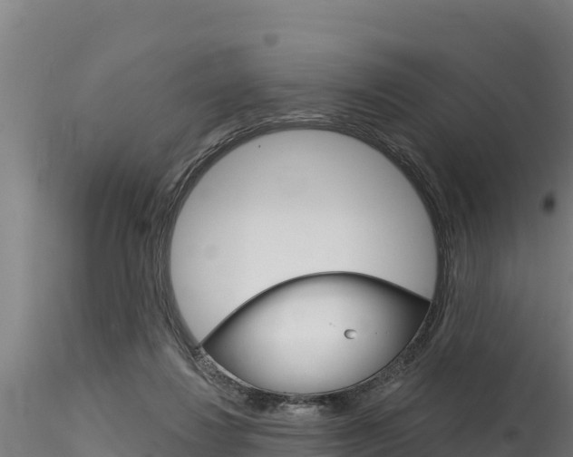X0000116280260200911301047