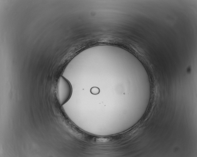 X0000116280265200911301047