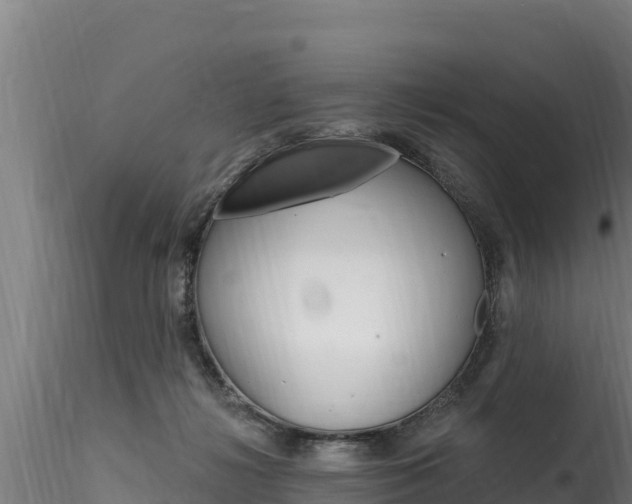 X0000116280268200911301047