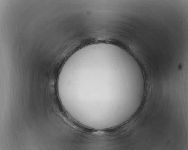 X0000116280269200911301047
