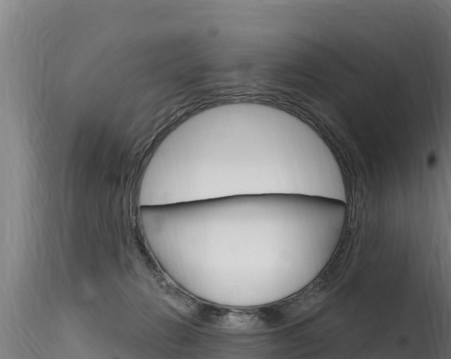 X0000116280270200911301047