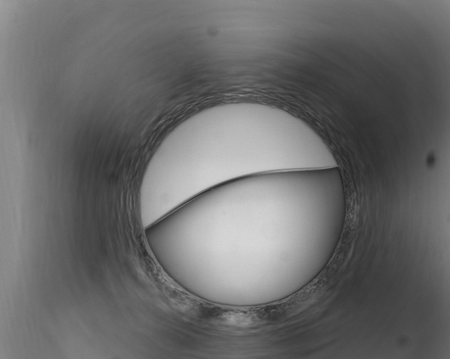 X0000116280272200911301047