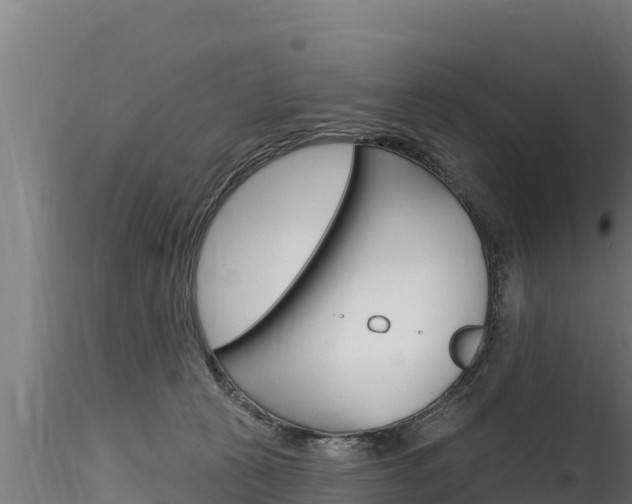 X0000116280273200911301047