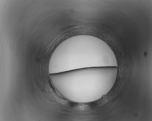 X0000116280278200911301047