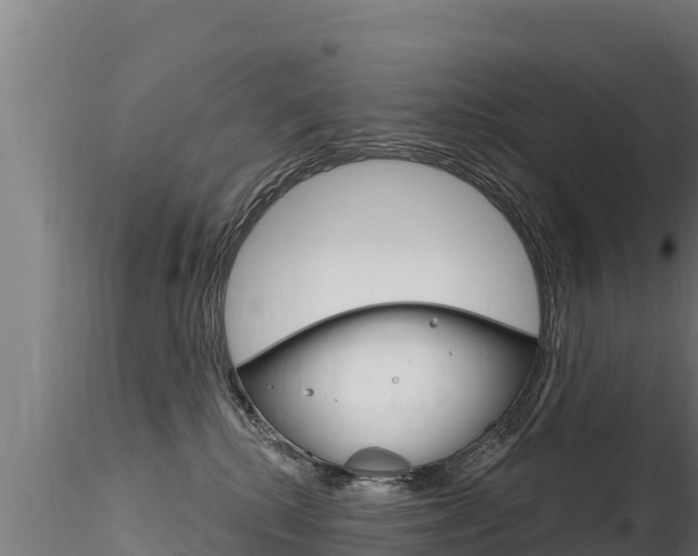 X0000116280280200911301047