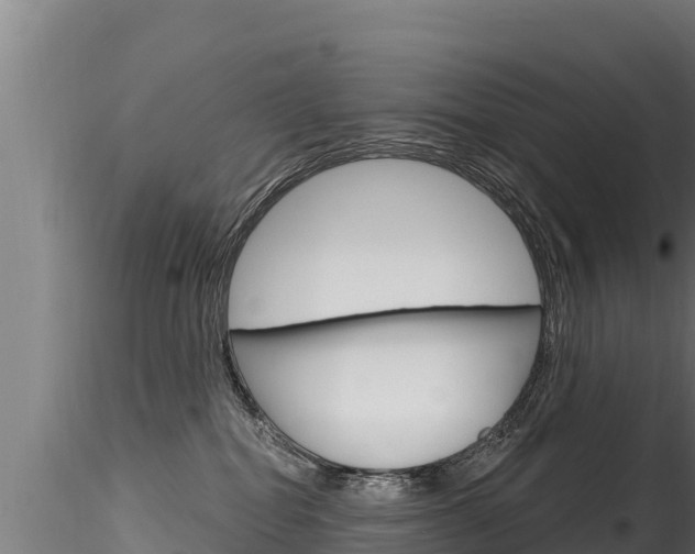 X0000116280282200911301047