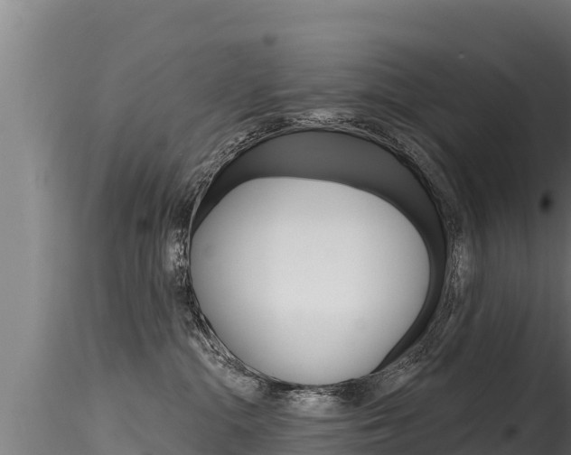 X0000116280284200911301047