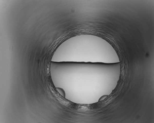 X0000116280285200911301047