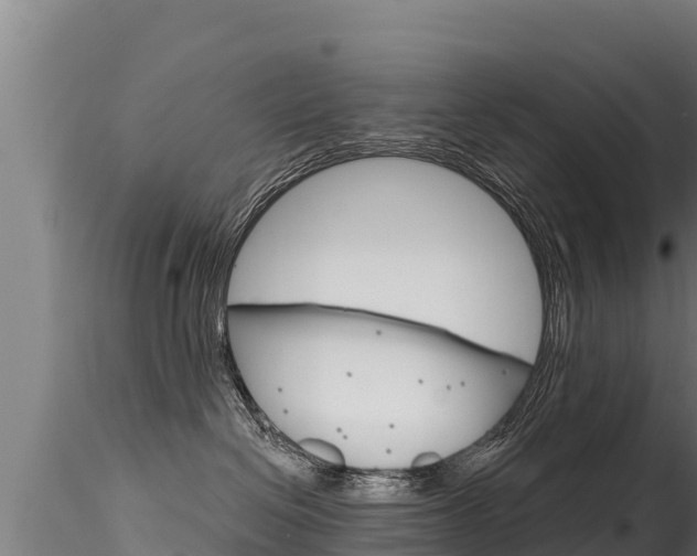 X0000116280286200911301048