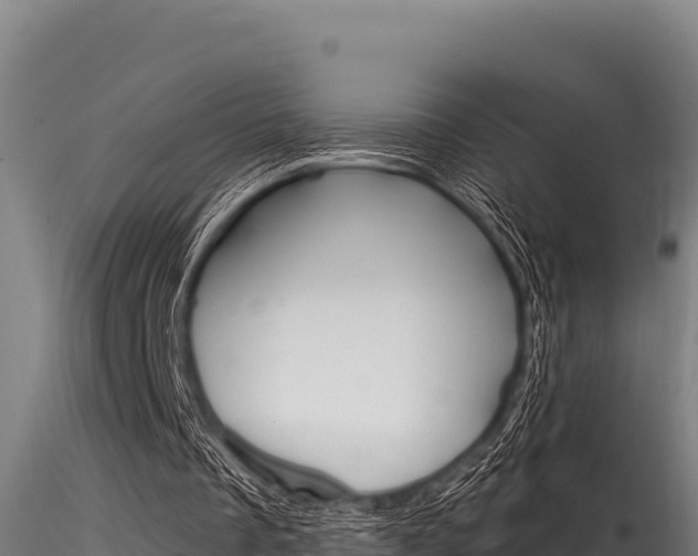 X0000116280289200911301047