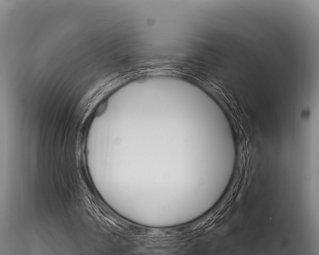 X0000116280290200911301047