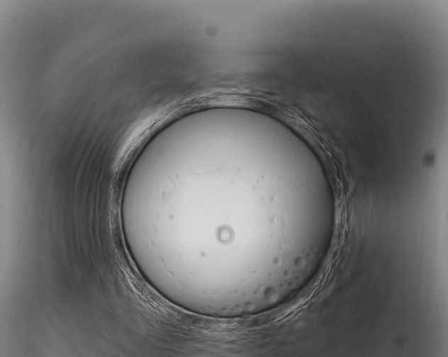 X0000116280293200911301047