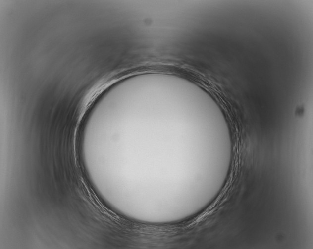 X0000116280294200911301047