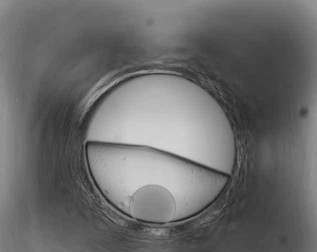 X0000116280295200911301047