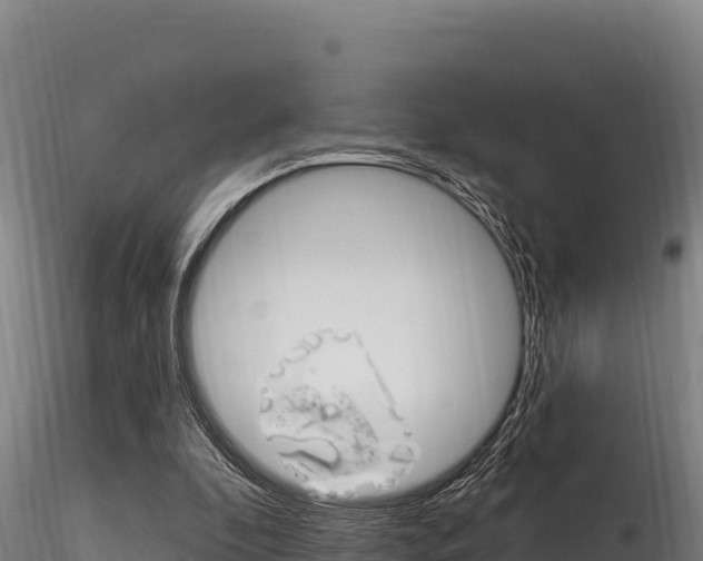 X0000116280296200911301047