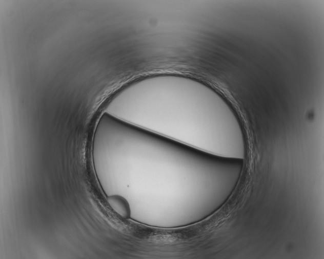 X0000116280299200911301047