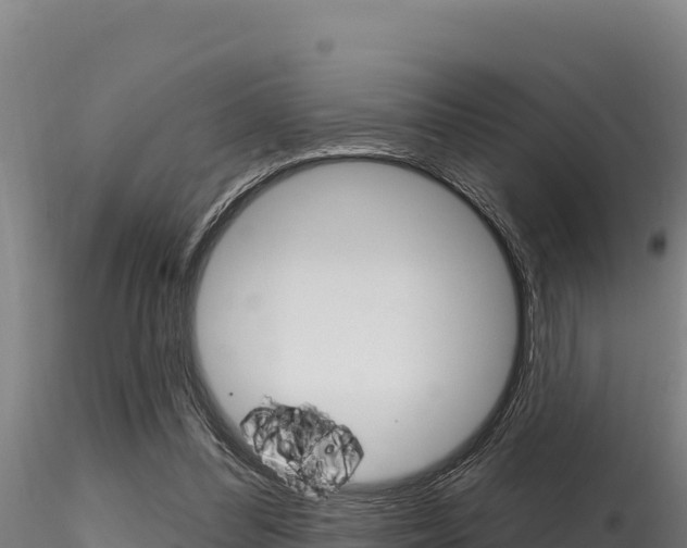 X0000116280300200911301047