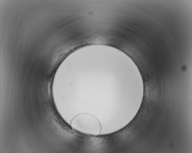 X0000116280302200911301047