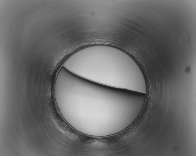 X0000116280303200911301047
