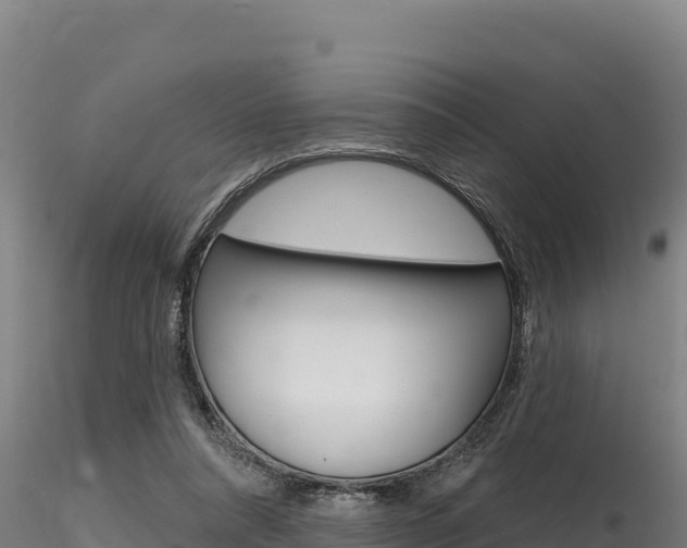 X0000116280304200911301047