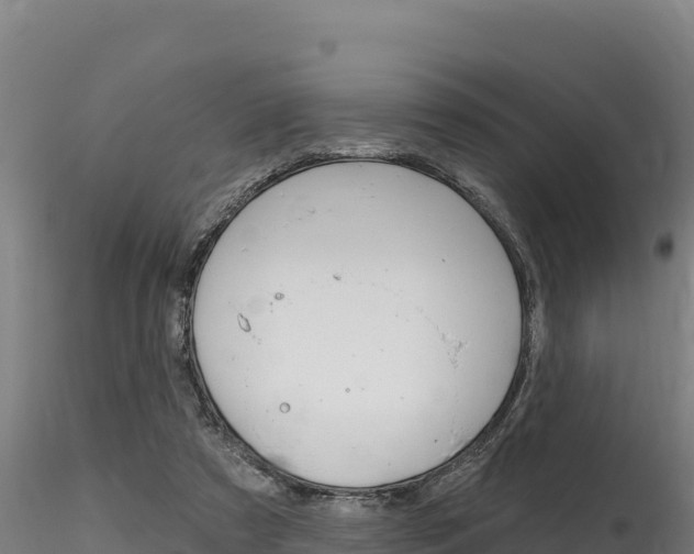 X0000116280305200911301047