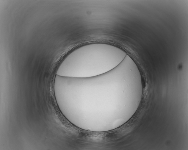 X0000116280306200911301047