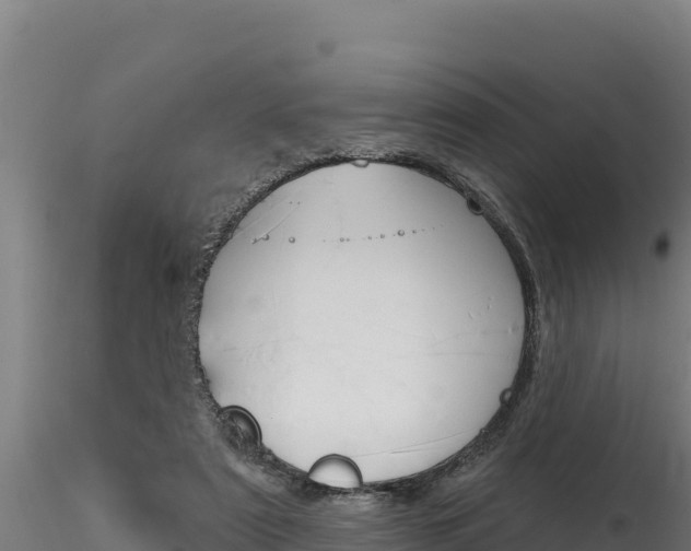 X0000116280307200911301047