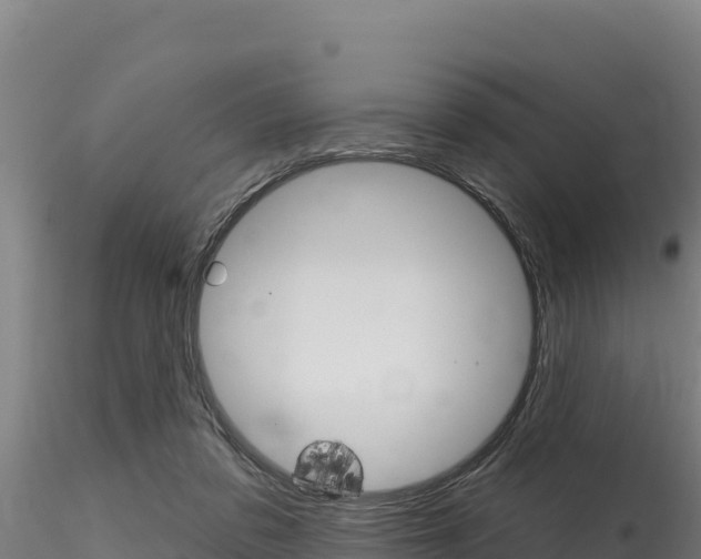 X0000116280309200911301047
