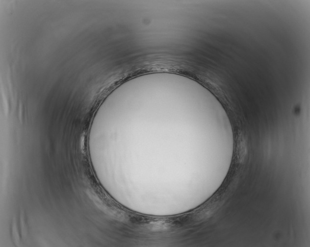 X0000116280310200911301047