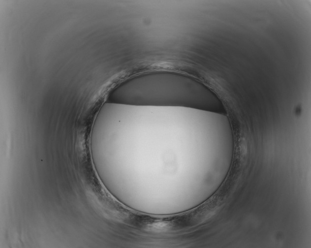 X0000116280312200911301047