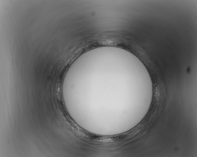 X0000116280322200911301046