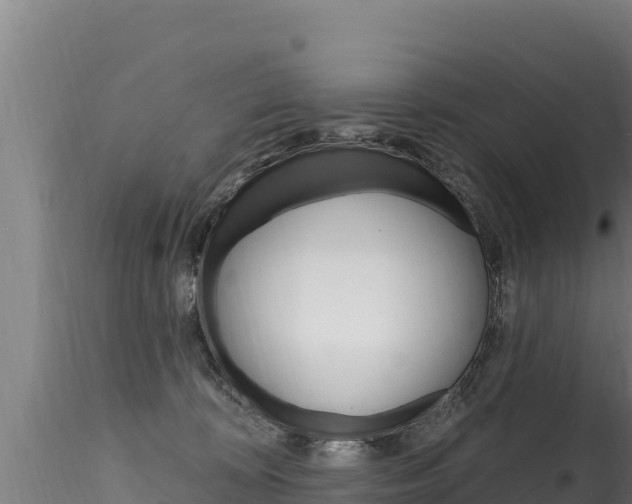 X0000116280324200911301046