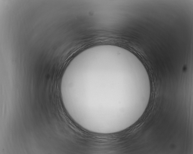 X0000116280325200911301046