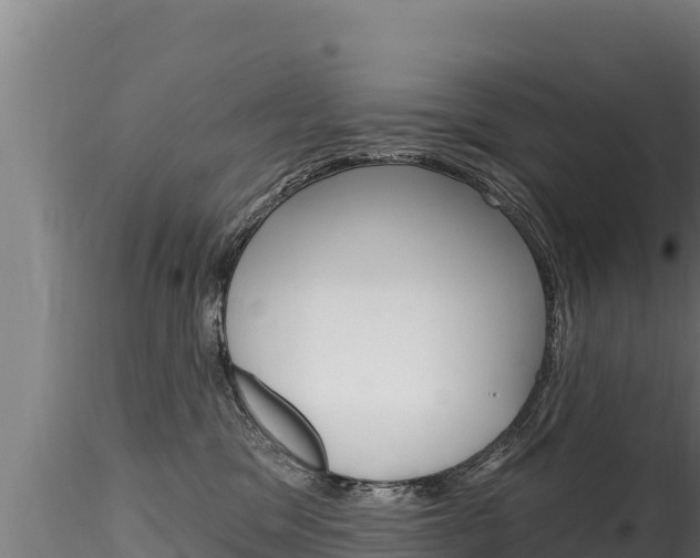X0000116280329200911301046