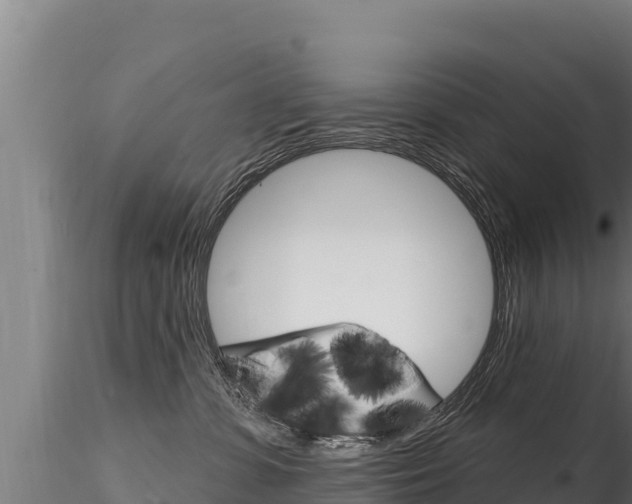 X0000116280331200911301046