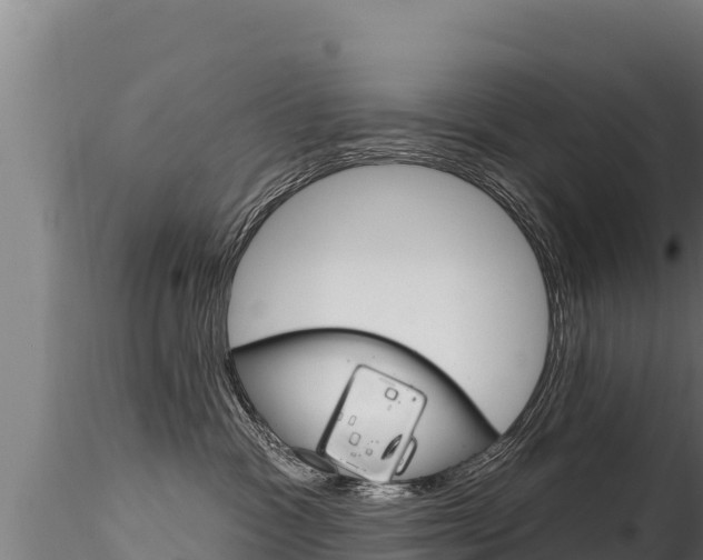 X0000116280333200911301046