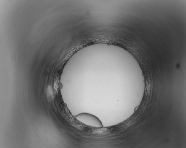 X0000116280334200911301046