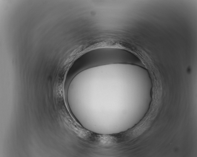 X0000116280336200911301046