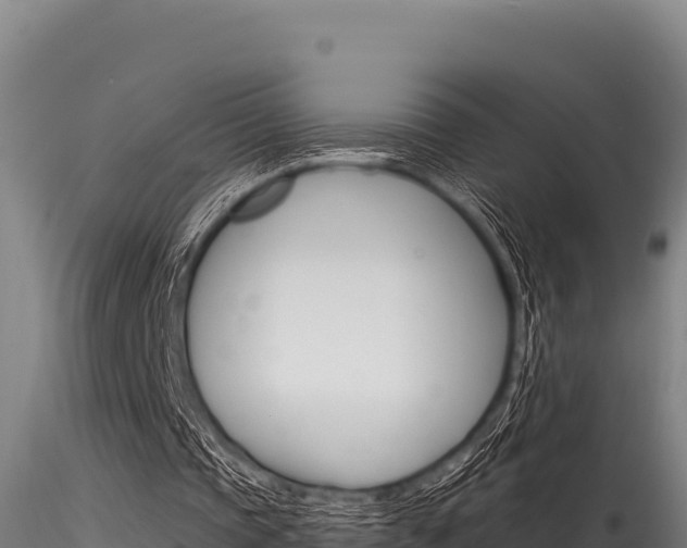 X0000116280337200911301046