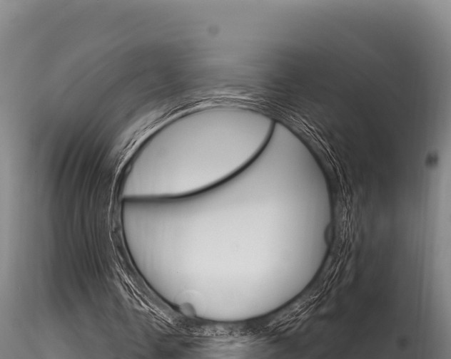 X0000116280338200911301046