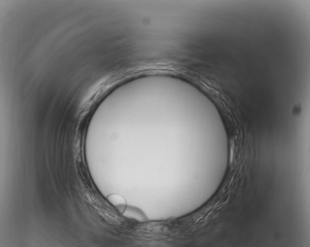 X0000116280339200911301046